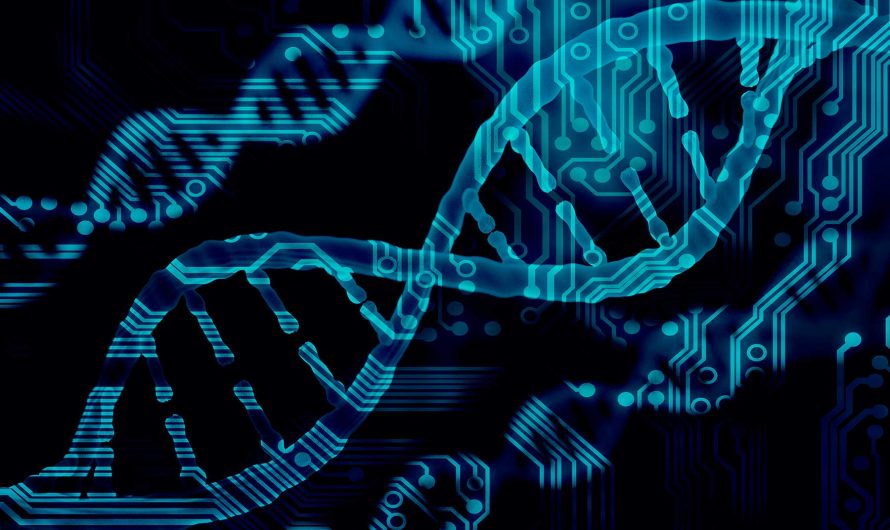 The Rise of Biotechnology: Innovations in Genetic Engineering